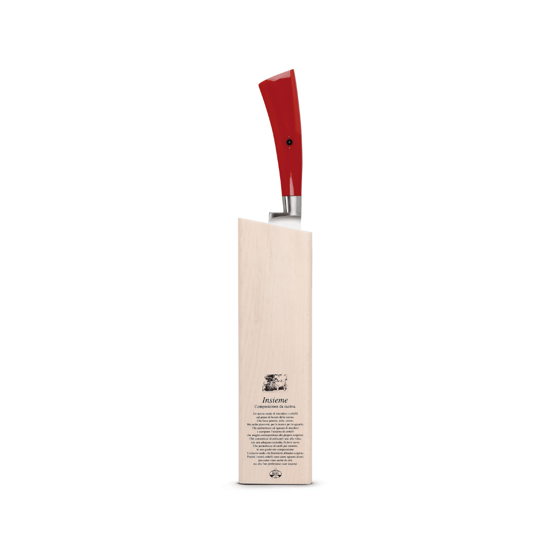 Coltello filetto con ceppo magnetico, Plenum | BERTI